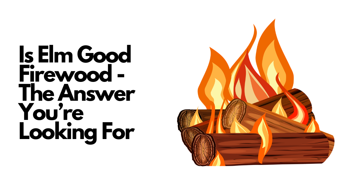 Is Elm Good Firewood – The Answer You’re Looking For