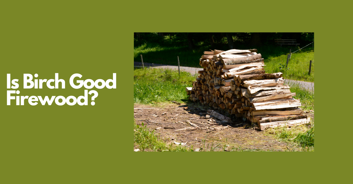 Is Birch Good Firewood?