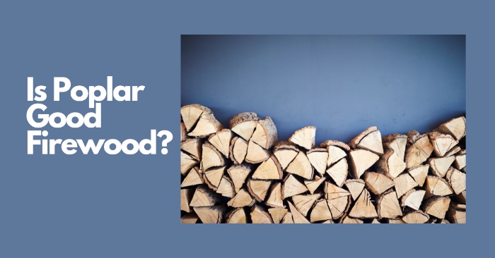 Is Poplar Good Firewood?